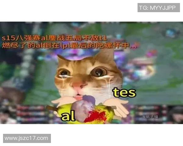 英雄联盟纪实：记录TES的突破历程